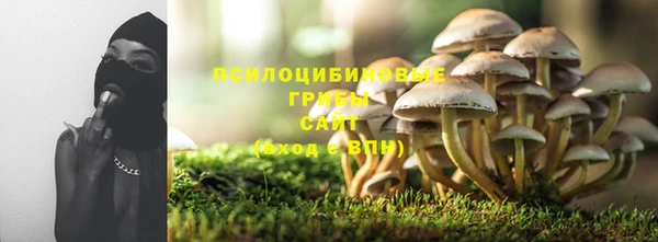 ешки Богородск
