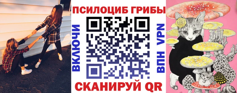 Псилоцибиновые грибы ЛСД  сколько стоит  Богданович 